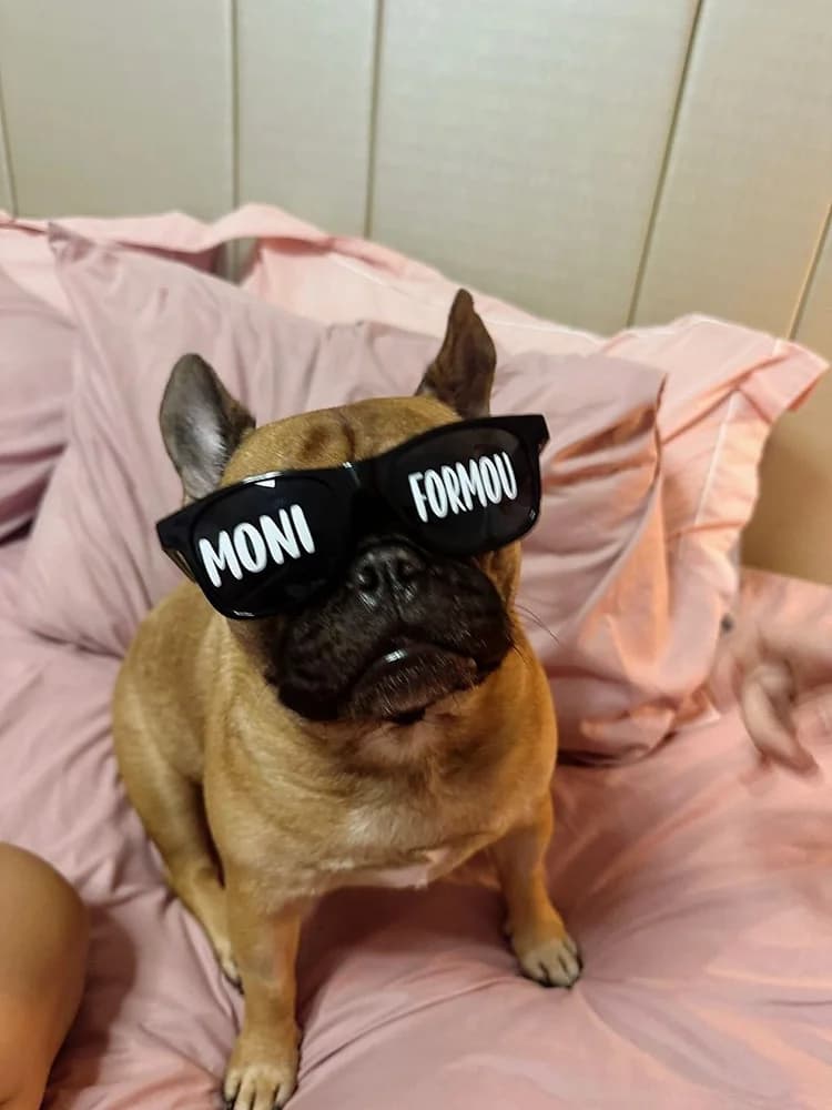 Óculos personalizado por Comprador verificado